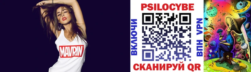 где купить наркоту  Шелехов  Галлюциногенные грибы мухоморы 